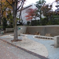 谷端川親水公園