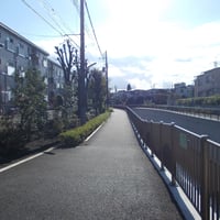 神田川沿い　和泉橋際