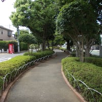 仲割川遊歩道　江戸川区東葛西8-6