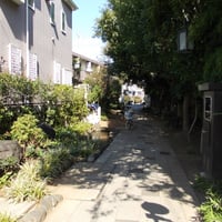上小岩親水緑道　江戸川区北小岩6-36