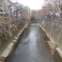 石神井川　双栄橋より中根橋側