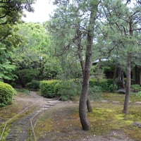 成城五丁目猪股庭園