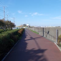 武蔵野の路葛西コース　江戸川区南葛西7-3