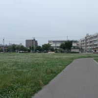 東立石緑地公園