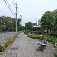 粕谷やまぼうし広場