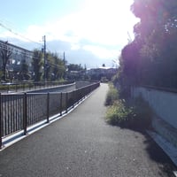 神田川　和泉橋際