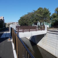 神田川　中井橋