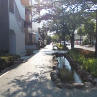 葛西親水四季の道　江戸川区中葛西3-31