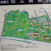 砧公園案内図
