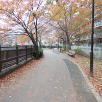 武蔵野の路石神井川コース　 板橋区稲荷台28