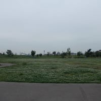 東立石緑地公園