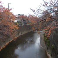 石神井川　中板橋より向屋敷橋側