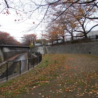 石神井川縁　加賀親水護岸