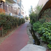 下小岩親水緑道