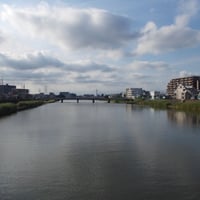 新中川　三和橋より細田橋側