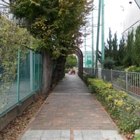 内戸越堀コミュニティ道路　足立区東和1-17