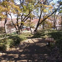 加賀公園加賀前田家下屋敷築山跡