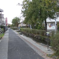 鹿骨親水緑道　江戸川区鹿骨2-17