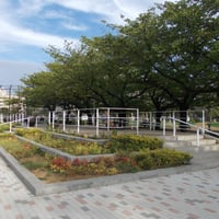 錦糸公園