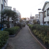 谷端川南緑道　豊島区池袋3-18・20