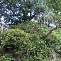 千駄ヶ谷富士塚