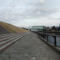 新河岸川縁　中の橋際