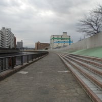 新河岸川縁