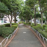 仲割川遊歩道　江戸川区東葛西8-7