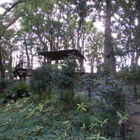 北の丸公園