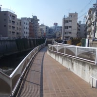 神田川縁　豊島区高田3-4