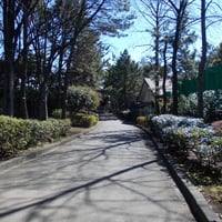 平和の森公園