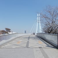 辰巳運河　辰巳桜橋