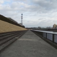 新河岸川縁