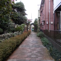 内戸越堀コミュニティ道路　足立区東和1-18