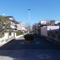 田柄川緑道　仲一橋跡より金越橋跡側