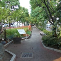 葛西親水四季の道　江戸川区西葛西6-26・29