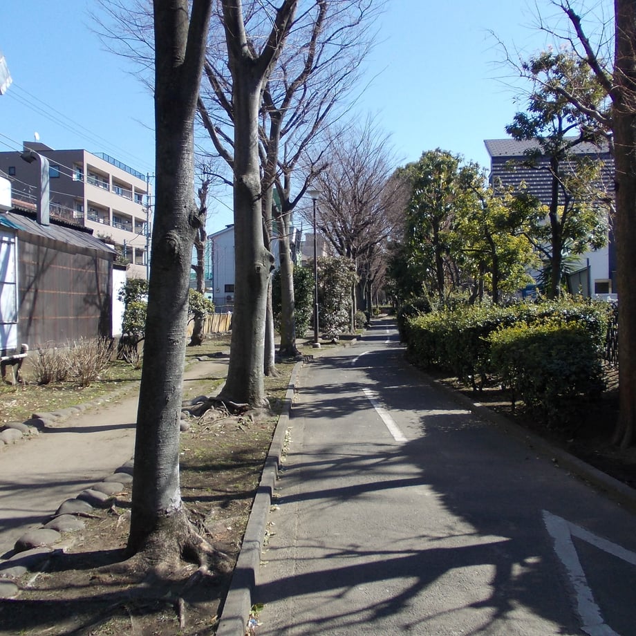 540fc988ef33774500000087