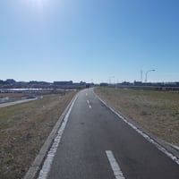 江戸川堤サイクリングロード　葛飾区東金町8