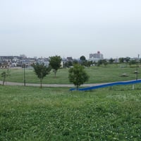 東立石緑地公園