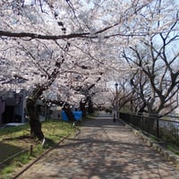 外濠公園