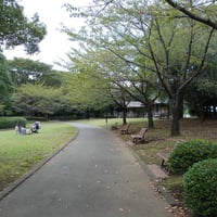 北の丸公園