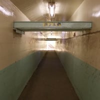 玉川上水緑道　環七横断地下道