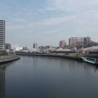 新河岸川　新河岸大橋より浮間橋側