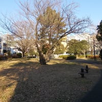 青山公園