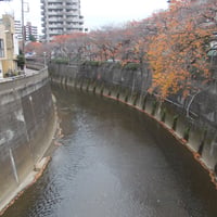 石神井川　堰の上橋より西宿裏橋側