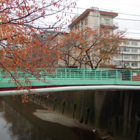 石神井川　御成橋
