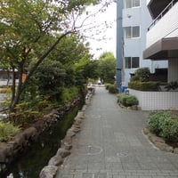 葛西親水四季の道　江戸川区中葛西3‐3