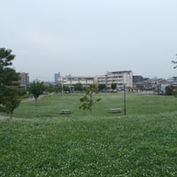 東立石緑地公園