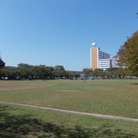 新小岩公園