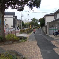 鹿骨親水緑道　江戸川区鹿骨2-11